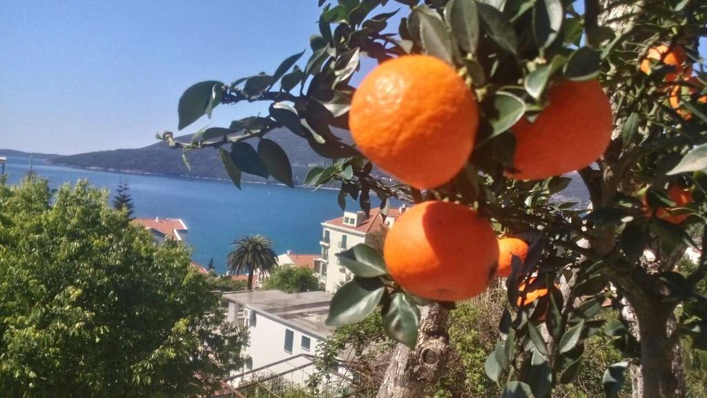 House Orange Apartments Herceg Novi Ngoại thất bức ảnh