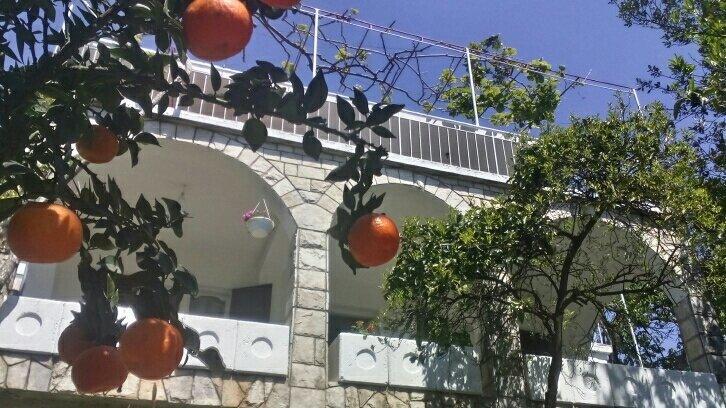 House Orange Apartments Herceg Novi Ngoại thất bức ảnh
