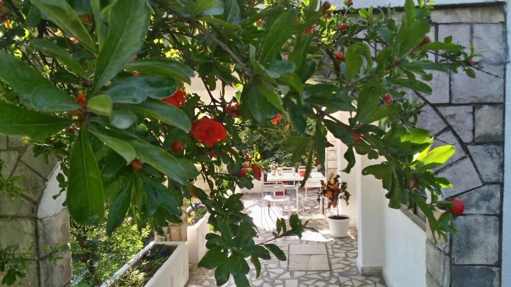 House Orange Apartments Herceg Novi Ngoại thất bức ảnh